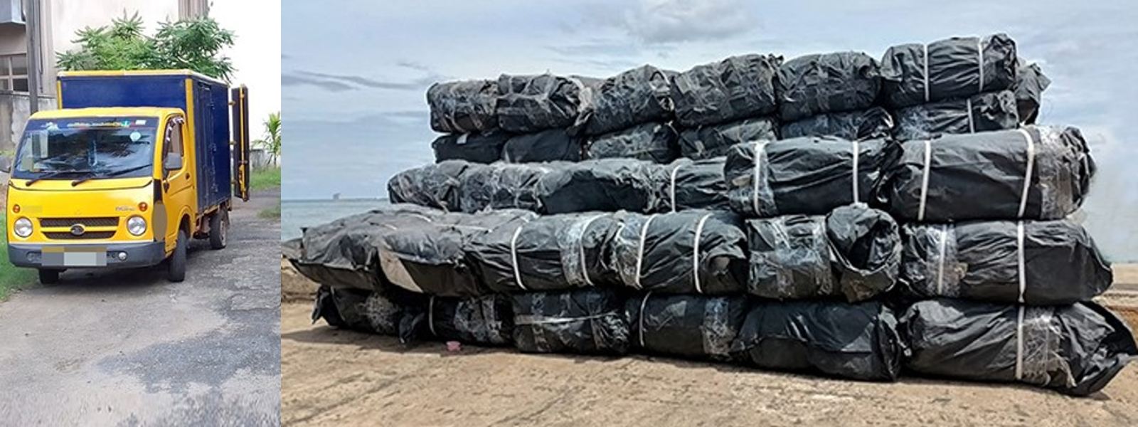 Over 2,448 kg of smuggled Kendu Leaves seized